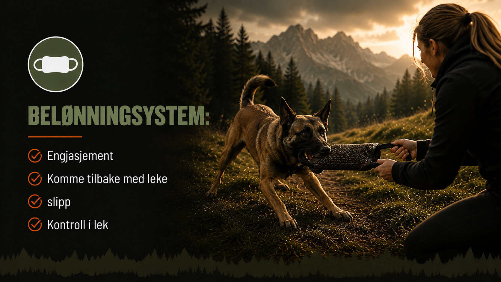 Belønning