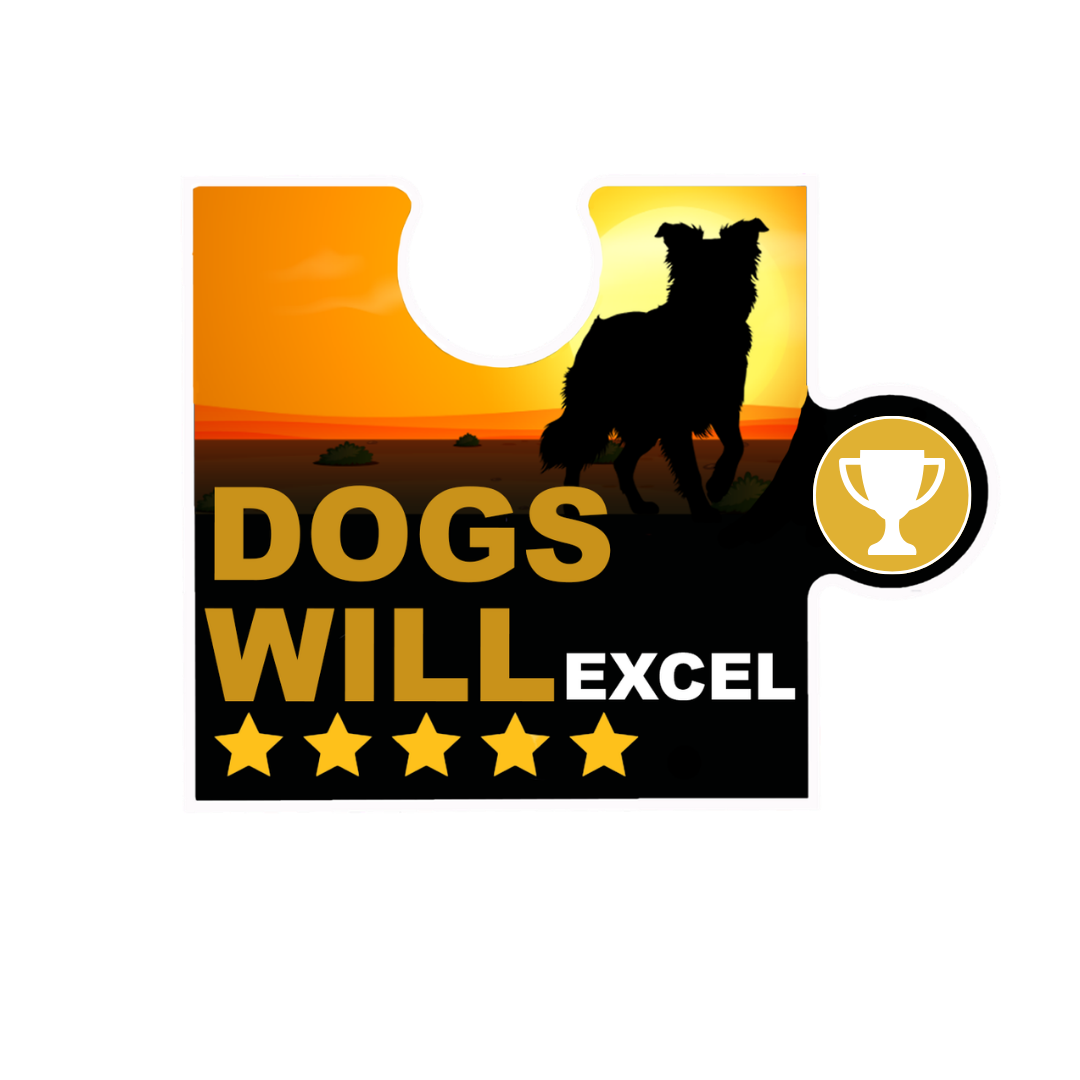 Excel